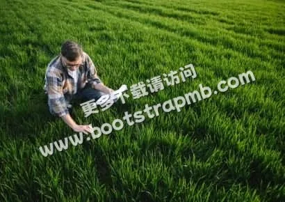 探索自然之美 - 爱游戏平台官网