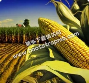 所有内容附原始来源，可追溯可验证 - 爱游戏平台官网